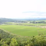 川口米