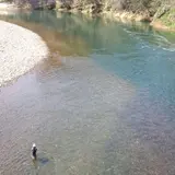 川口米