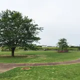 三里塚さくらの丘