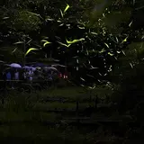 定光寺ほたるの里