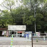 木かげ