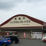 明智平 展望台