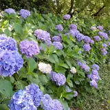 保谷狭山自然公園自転車道