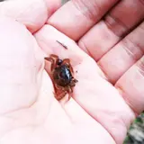 海上の森 里山サテライト（愛称：かたりべの家）