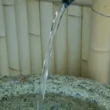 白菊水