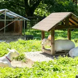 八ヶ岳ホテル風か