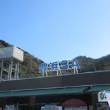 銭形食堂