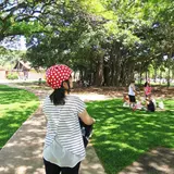 Segway of Hawaii