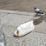 稲荷町