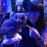 ふくろうカフェ アウルの森