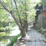 八幡川緑地