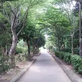 であいのみち