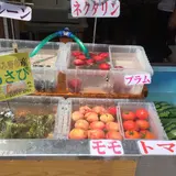 道の駅 風穴の里