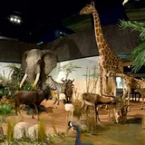 Muséum d'Histoire Naturelle