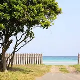 茂木浜海水浴場