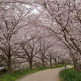 対馬市教育委員会美津島地区公民館