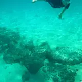 対馬グリーンパーク