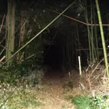 シガイの森
