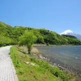 河口湖北岸ウォーキングトレイル