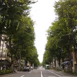中杉通り