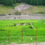 兵庫県豊岡市但東町平田（いっちゃんおっちゃんの蓮池）