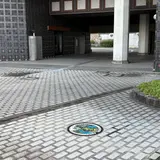 ポケモンマンホール（サルノリ・ワタシラガ）