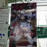 空港バッティング
