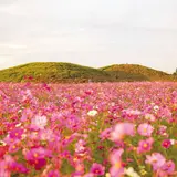 井出二子山古墳