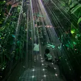 京都府立植物園