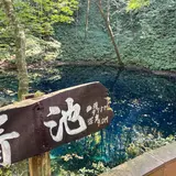 青池