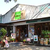 ナン Nanの木
