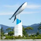 【閉業】ショップ青海島