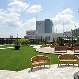 Q-COURT