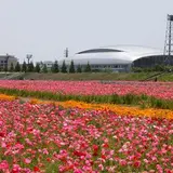 馬入ふれあい公園