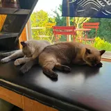 ＣａｆｅＯＬＥＧＡＬＥ