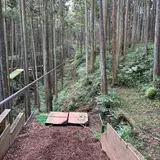 フォレストアドベンチャー・小田原