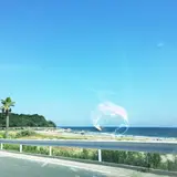 太平洋ロングビーチ