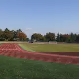 新井総合公園