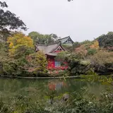 井の頭公園