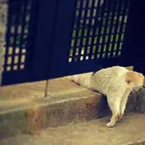 千石