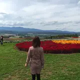 麓郷展望台