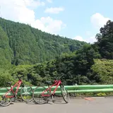 TREKKLING(トレックリング)レンタサイクル