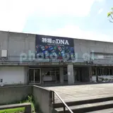 福島ガイナックス