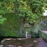 上の川湧水