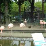 久留米市鳥類センター