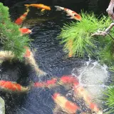 春花園