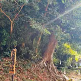 鎮西伊勢分宮 姫神社