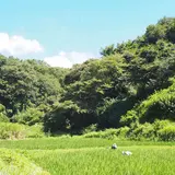 鎌倉中央公園