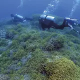 ダイブ宮古島