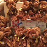 飛騨高山テディベアエコビレッジ